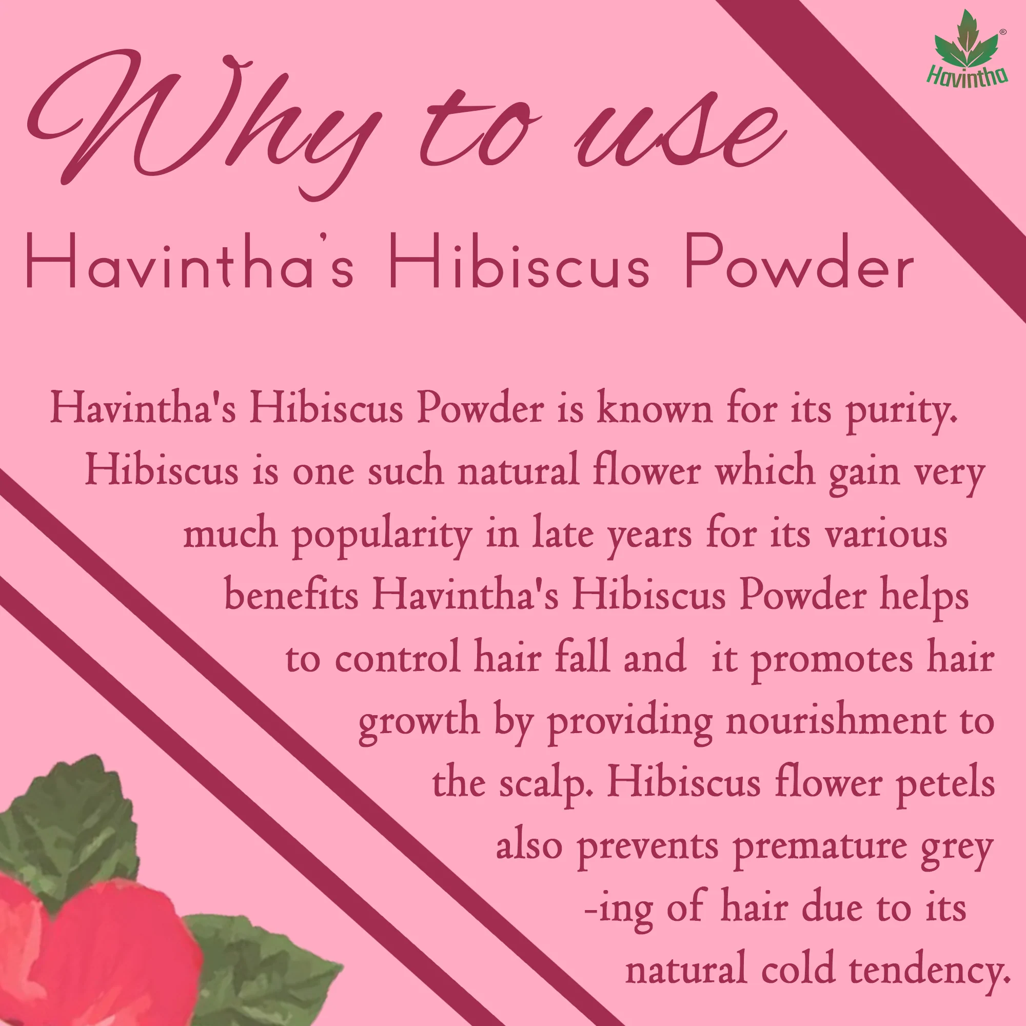 Natural Hibiscus Powder For Hair Growth & Prevents Hair Fall – 227g –  Ritika Creations